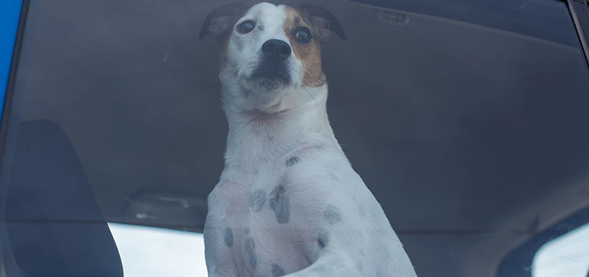 Car Lockout Solutions in Maywood, California